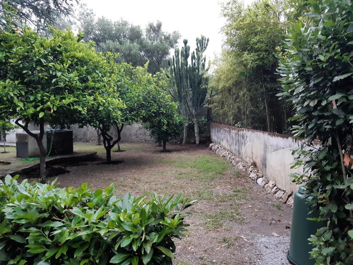 Villa Livia Villammare Exterior photo